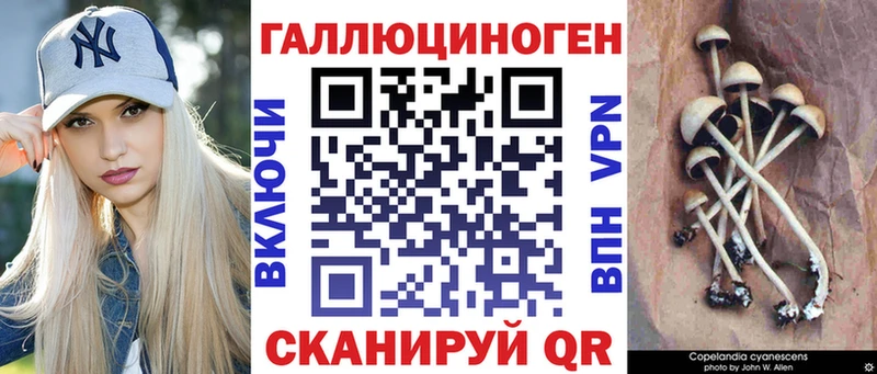 Псилоцибиновые грибы Magic Shrooms Спасск-Рязанский