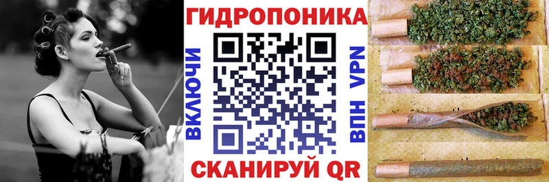 мориарти клад  Спасск-Рязанский  Конопля MAZAR  как найти наркотики 